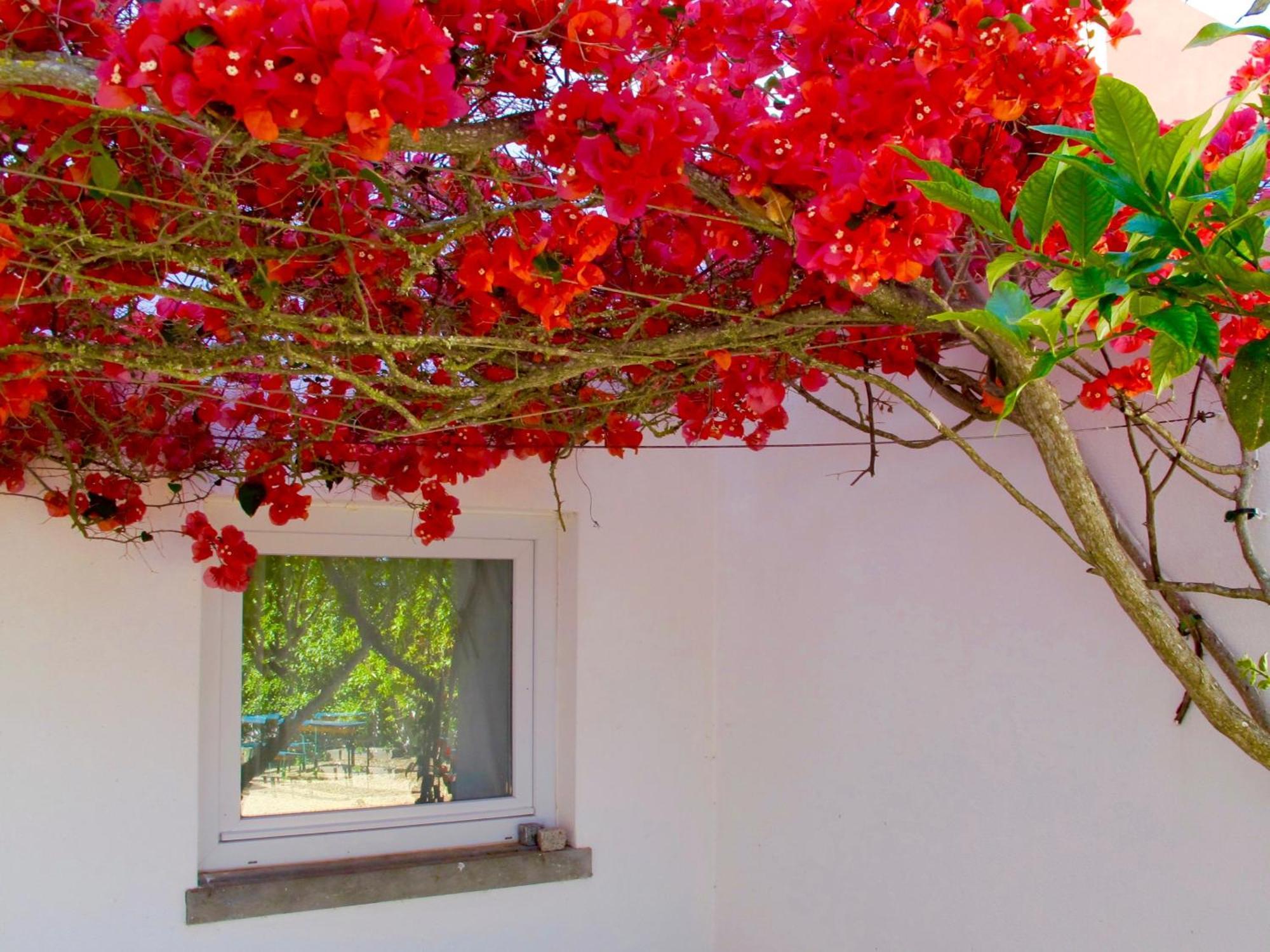 Seaya Villas Cascais Chambre photo